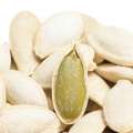 shine skin superior organic pumpkin seeds of China